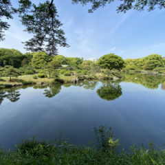 清澄庭園